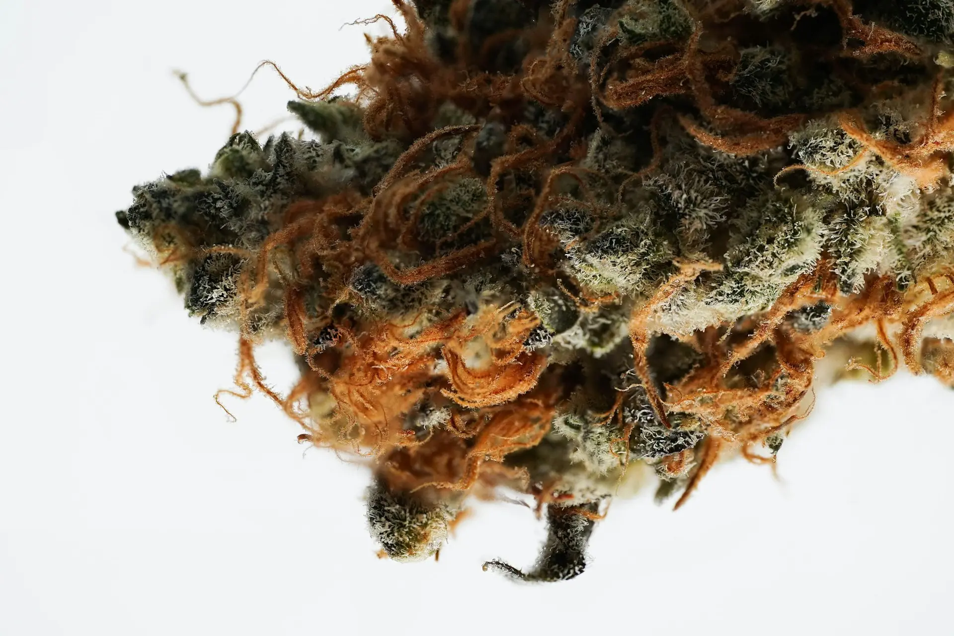 brown and white smoke on white background